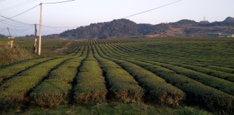 Nghiên cứu đánh giá cuối kỳ của Dự án “Thúc đẩy bình đẳng giới thông qua nâng cao hiệu quả kinh tế sản xuất nông nghiệp và phát triển du lịch tại tỉnh Lào Cai và Sơn La giai đoạn 2 (GREAT 2)