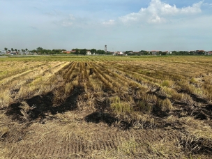 THÔNG BÁO TUYỂN DỤNG CÁN BỘ KHẢO SÁT – NGHIÊN CỨU GIẢM THIỂU ĐỐT RƠM RẠ TRONG HOẠT ĐỘNG SẢN XUẤT LÚA GẠO – KHẢO SÁT ĐẦU KỲ