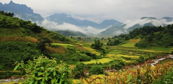 THÔNG BÁO TUYỂN DỤNG CÁN BỘ KHẢO SÁT CUỐI KỲ DỰ ÁN GREAT 2 (ĐỢT 1)